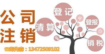 一站式服務 上海各區公司注銷、工商注冊及商標代理全方位指南